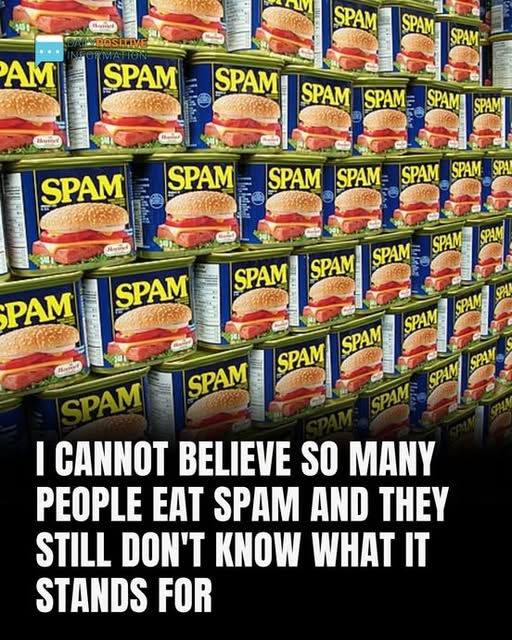 why-is-it-called-spam-anyway-newsin